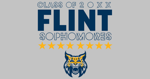 Zoomed in Design Idea Number 49890: Flint Sophomores