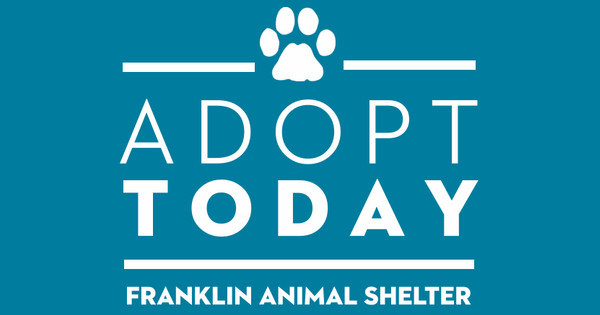 Zoomed in Design Idea Number 41548: Adopt Today