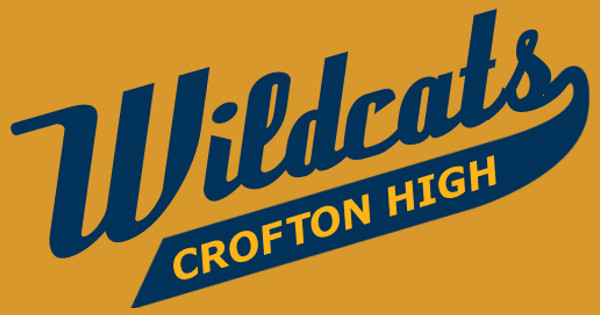 Zoomed in Design Idea Number 29208: Wildcats