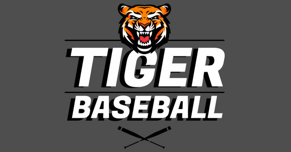 Zoomed in Design Idea Number 61771: Tigers Baseball