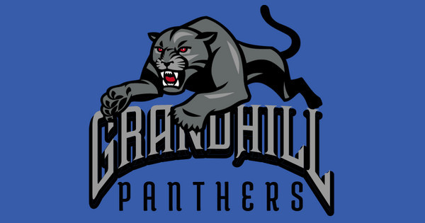 Zoomed in Design Idea Number 59525: Panthers