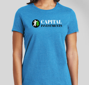 Thumbnail for Design Idea Number 61073: Capital Investments