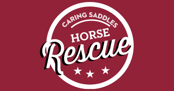Zoomed in Design Idea Number 58415: horse rescue